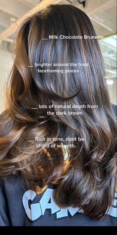 Highlights Brunette Hair, Color Brown Hair, Nails Selfie, Highlights Brunette, Sunkissed Hair Brunette, Sunkissed Hair, Hair Color Brown