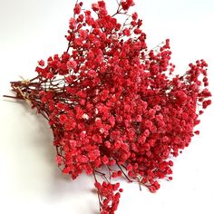 a bunch of red flowers sitting on top of a white table