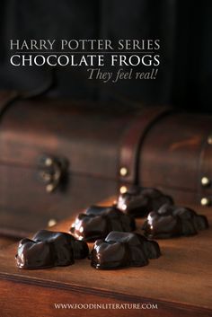 harry potter series chocolate frogs they feel real