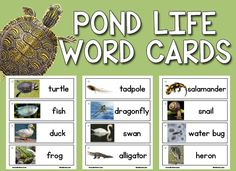 the pond life word cards are filled with pictures