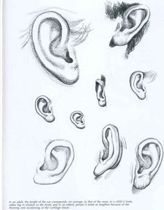 an open book with drawings of ear shapes