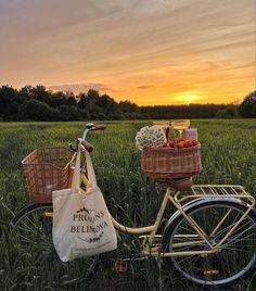 a bike parked in the grass with a basket full of fruit