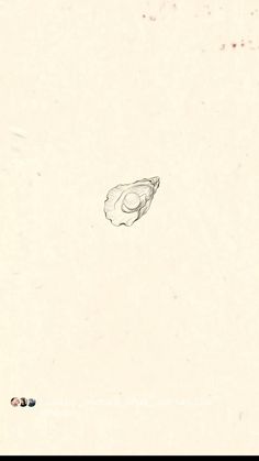 an ink drawing of a shell on a white paper with red spots around the edges