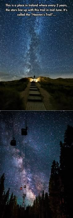 two different views of the night sky, one with stars above and another with trees below