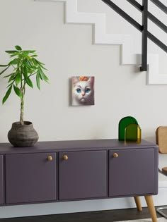 a white cat with blue eyes sitting on top of a purple cabinet