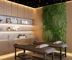 a spa room with two chaise lounges and plants on the wall