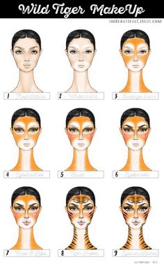 Tiger Make-Up How-To Tiger Makeup, Tiger Halloween, Animal Makeup, Tiger Costume, Diy Costumes Kids, Makeup Step By Step, Halloween Costumes Makeup, Face Painting Designs, Cat Makeup