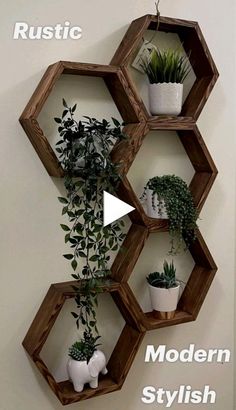 three hexagonal shelves with plants on them and the words modern stylish