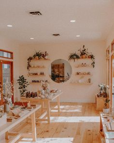 a room filled with lots of shelves and plants