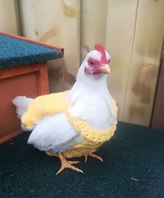 a white and red chicken standing on top of a blue floor next to a wooden table