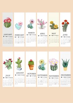 a calendar with cactuses and flowers on it