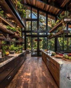 an open kitchen with wooden floors and lots of greenery on the shelves above it