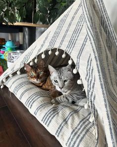 two cats are laying in a teepee tent