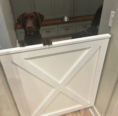 a dog looking over the top of a white gate