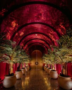 a long hallway with potted plants and red curtains