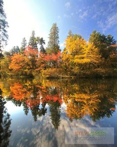 a lake surrounded by trees with fall foliage on the shore and blue sky in the background