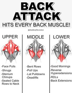 the back and shoulder muscles are shown in this poster, with instructions for each muscle