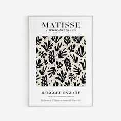 a book with black and white designs on the cover, titled matissee patterns