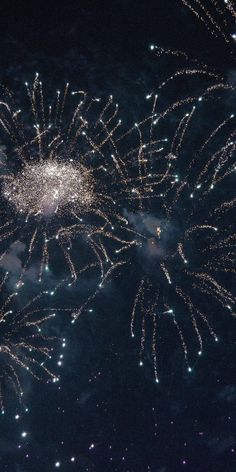 fireworks are lit up in the night sky