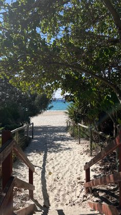 a path leading to the beach with trees on either side