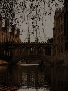 a person in a small boat on a body of water under a bridge with old buildings