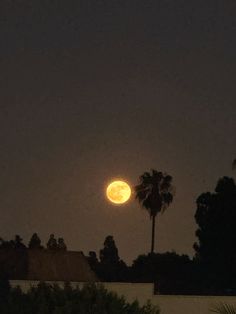 the full moon is shining brightly in the night sky over palm trees and buildings,