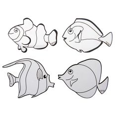 three different types of fish on a white background with black and white outlines, one is