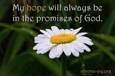 a daisy with the words, my hope will always be in the promises of god