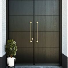 a potted plant sitting in front of a black and white door with two handles