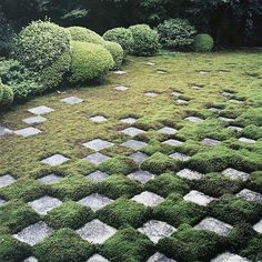 a garden with green grass and rocks in the center, surrounded by trees and bushes