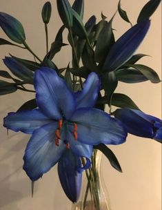 a blue flower in a clear glass vase