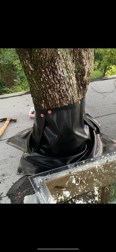 a black bag is sitting on top of a tree