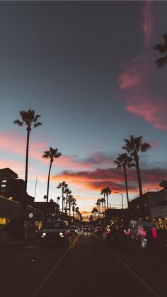 palm trees line the street in front of buildings and cars at dusk, with pink clouds