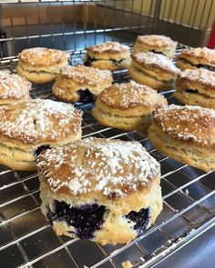 several blueberry pastries cooling on a rack