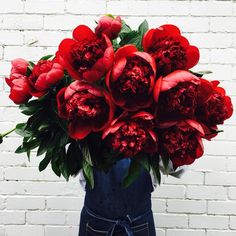 a vase filled with lots of red flowers