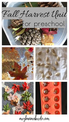 the fall harvest unit for preschool is filled with leaves, pine cones and acorns