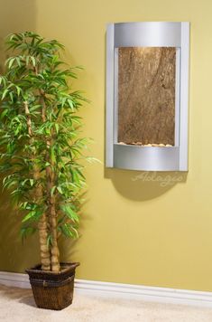 a potted plant sitting next to a wall mounted fountain