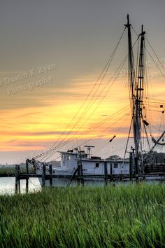 a boat sitting on top of a lush green field next to the ocean at sunset