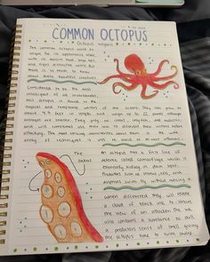 an open notebook with writing on it and an octopus drawn in the bottom right corner