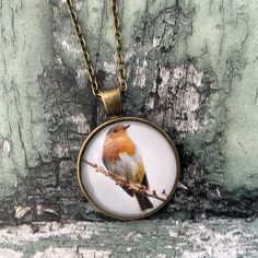 Lovely red Robin bird print glass cabochon pendant necklace professionally printed and set in either a bronze coloured or stainless steel bezel and chain. The image is set beneath a glass dome which beautifully magnifies the image. The necklace chain is 18 inches long from end to end (please refer to photo in the listing which shows the length of the necklace when worn). Please choose your bezel and chain colour and finish from the drop down list. Choose from bronze plated, stainless steel or from a sterling silver unhallmarked necklace chain: - 18 inches stainless steel curb necklace chain with lobster closure  - 18 inches antique gold bronze plated cable necklace chain with lobster closure - 18 inches sterling silver (unhallmarked due to weight) trace chain with round closure - pendant m Round Necklace With Bird Design For Gift, Robin Earrings, Bird Design Necklace Gift, Cardinal Necklace, Red Robin Bird, Robin Necklace, Red Robin, Unique Xmas Gifts, Silver Bird Necklace