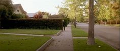 an empty sidewalk in the middle of a residential area with trees and grass on both sides