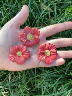 three red flowers are placed on the palm of someone's hand in the grass