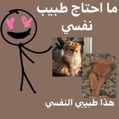 an image of a cat and a dog with caption in the language of arabic