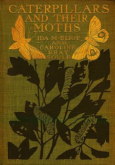 an old book cover with butterflies and moths on it's front page in yellow