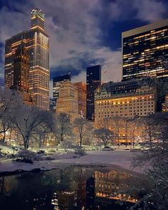 the city skyline is lit up at night with snow on the ground and trees in the foreground