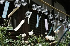 an assortment of glass balls hanging from a line next to white flowers and greenery