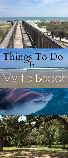 the words things to do in myrtie beach, florida with images of sharks and trees