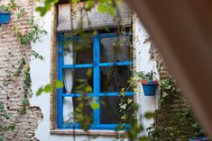 an old window with blue panes and ivy growing on it