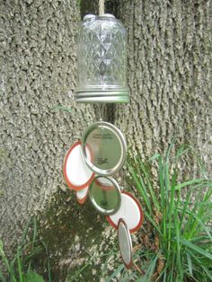 a glass bird feeder hanging from the side of a tree next to some green grass