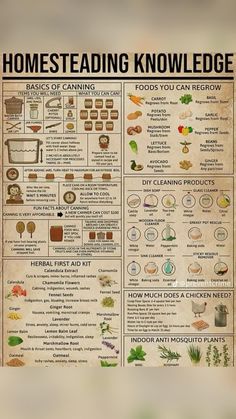 Hollistic wellness poster available to purchase so you never forget !! Cooking Hobby, Magia Das Ervas, Survival Life Hacks, Survival Life, Camping Ideas, Survival Tips, Useful Life Hacks, Survival Skills, Permaculture